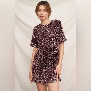 BNWT Plum Sequin Short Sleeve Mini Dress